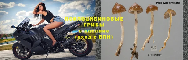 mdpv Белокуриха