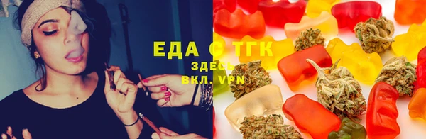индика Дмитровск