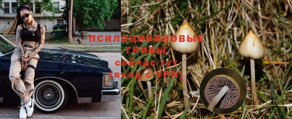 прущая мука Баксан
