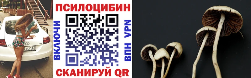 МЕГА ONION  Чудово  Псилоцибиновые грибы Psilocybe  где можно купить  